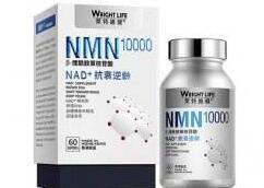 NMN概念