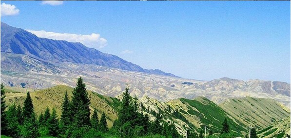 600090同济堂,600090股票分析