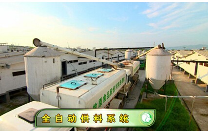 牧原股份(002714)